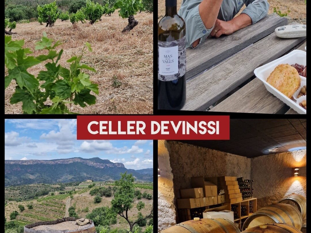 Celler Devinssi-Gratallops必去景点