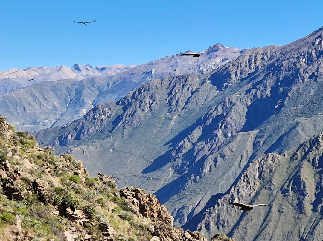 Mirador Cruz del Condor-Cabanaconde必去景点