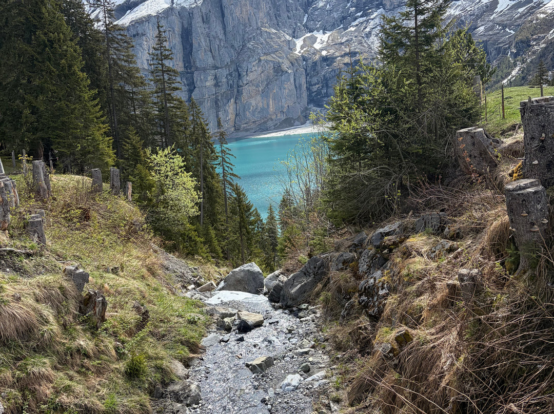 Hotel Ermitage Kandersteg主图