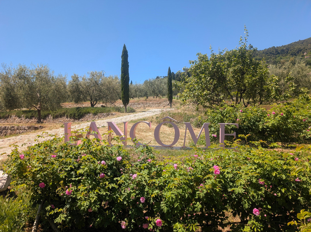 Domaine De La Rose Lancôme-Chateauneuf de Grasse必去景点