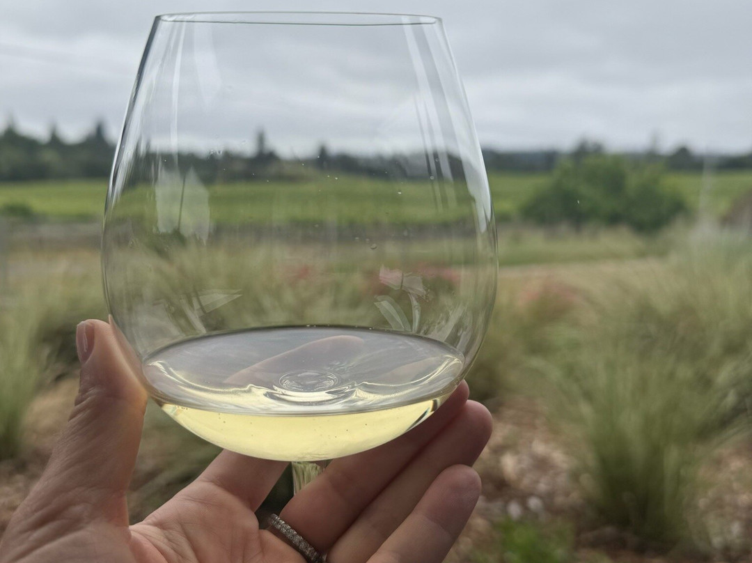 Emeritus Vineyards-Sebastopol必去景点