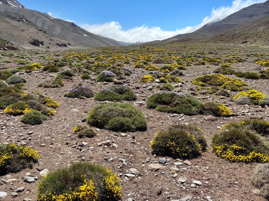 Eco Tourisme Trek Maroc-Azilal必去景点