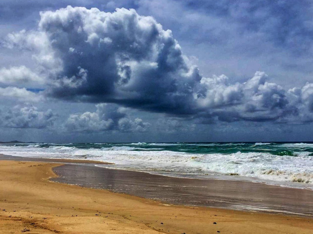 Flynn's Beach