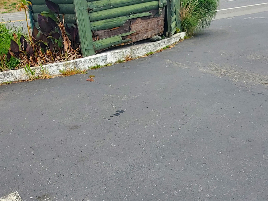 野河汽车旅馆主图