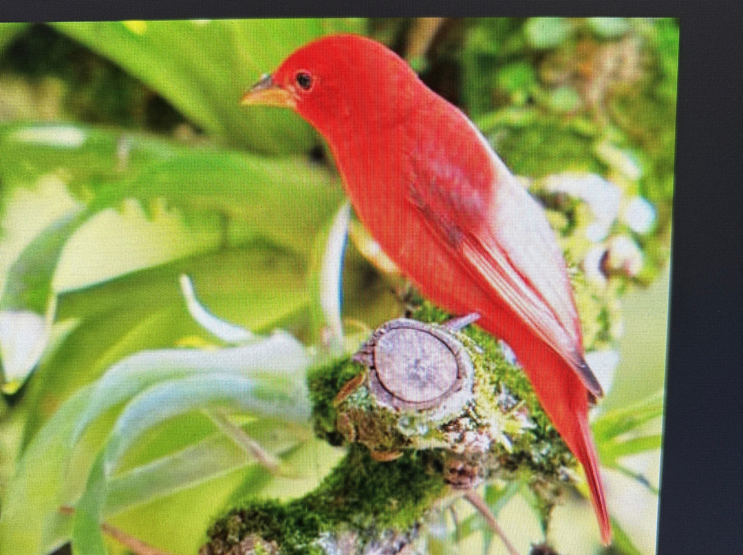 Nature Walk La Selva-Pueblo Tapao必去景点