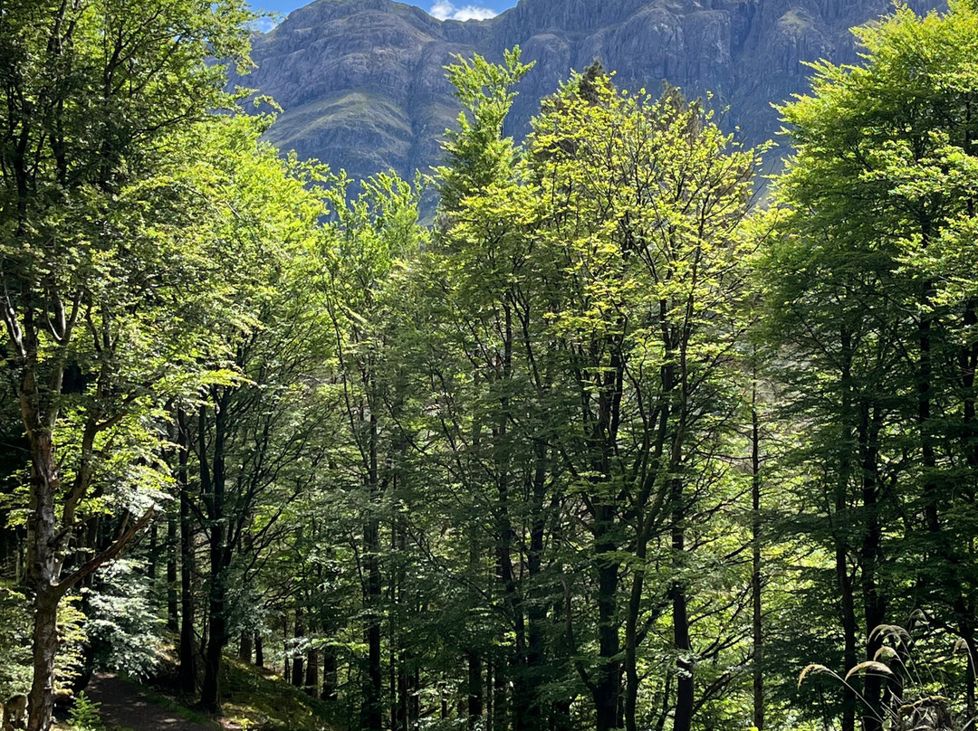 Signal Rock and An Torr-威廉堡必去景点