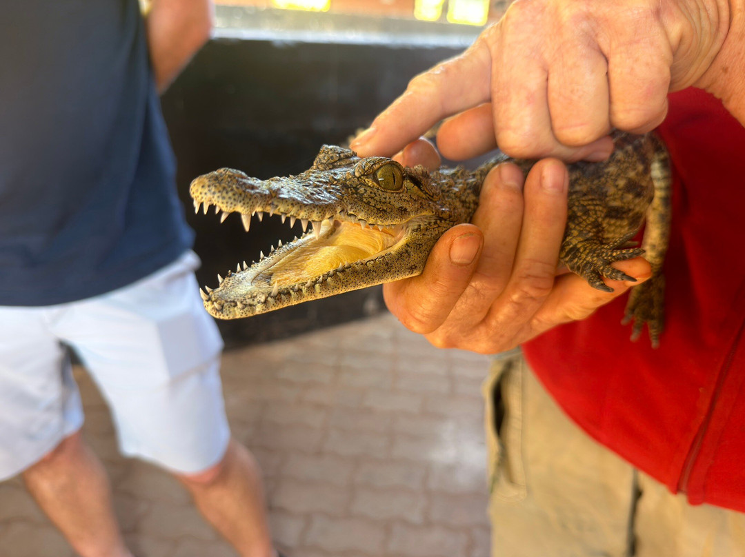 Chobe Crocodile Farm-卡萨尼必去景点