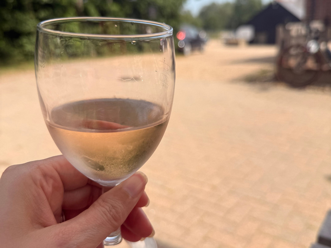 Mersea Island Vineyard-Mersea Island必去景点