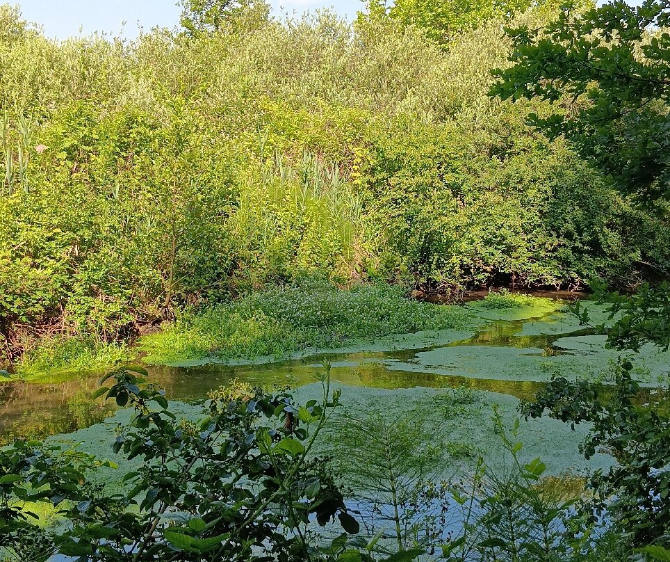 Parco Palude di Onara-Onara必去景点