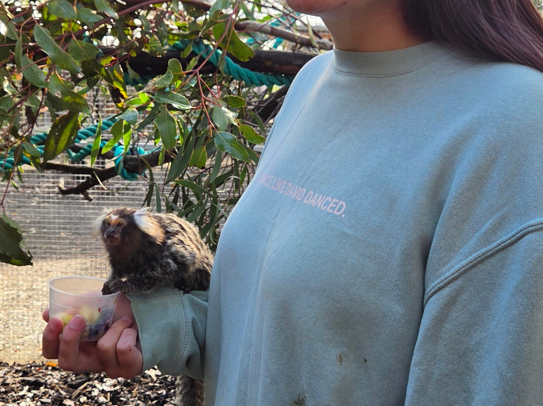 Kangaroo Island Wildlife Park-塞登必去景点