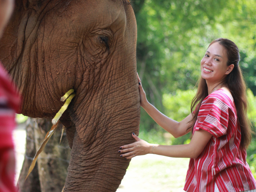 Karen Hilltribe Elephant Sanctuary-Mae Win必去景点