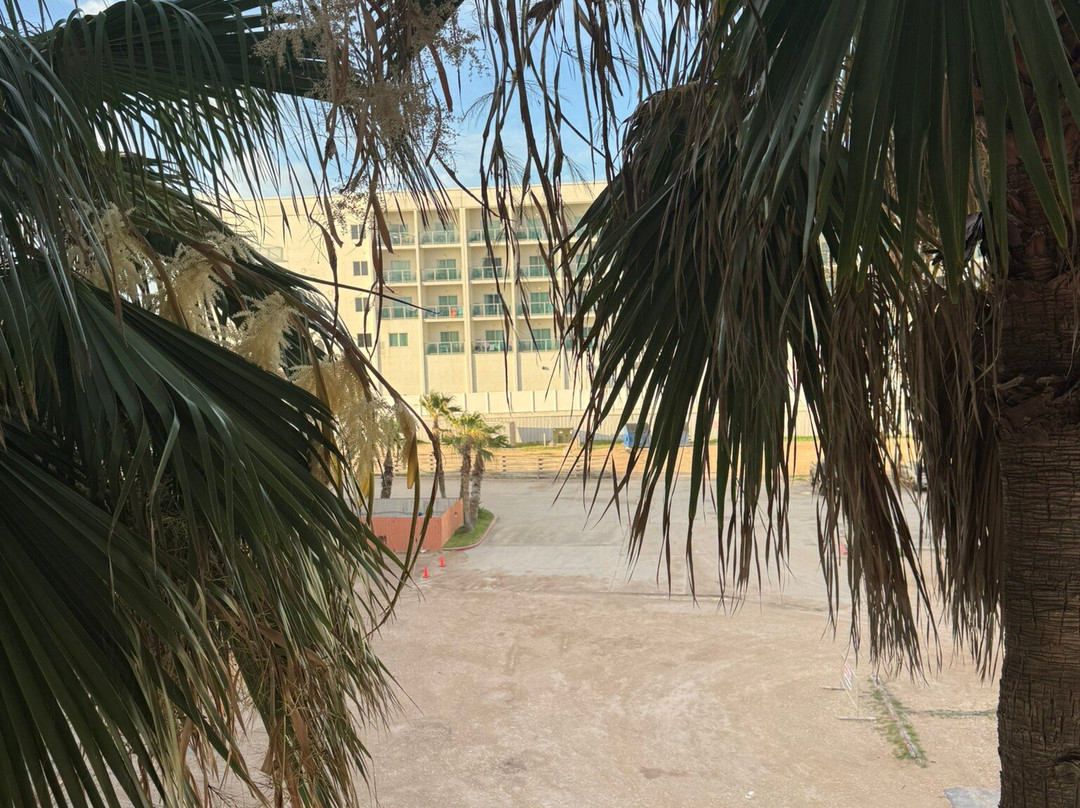 南帕诸岛海滩拉昆塔温德姆套房酒店(South Padre Island Beach)主图