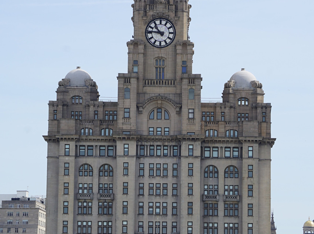 Royal Liver Building-利物浦必去景点