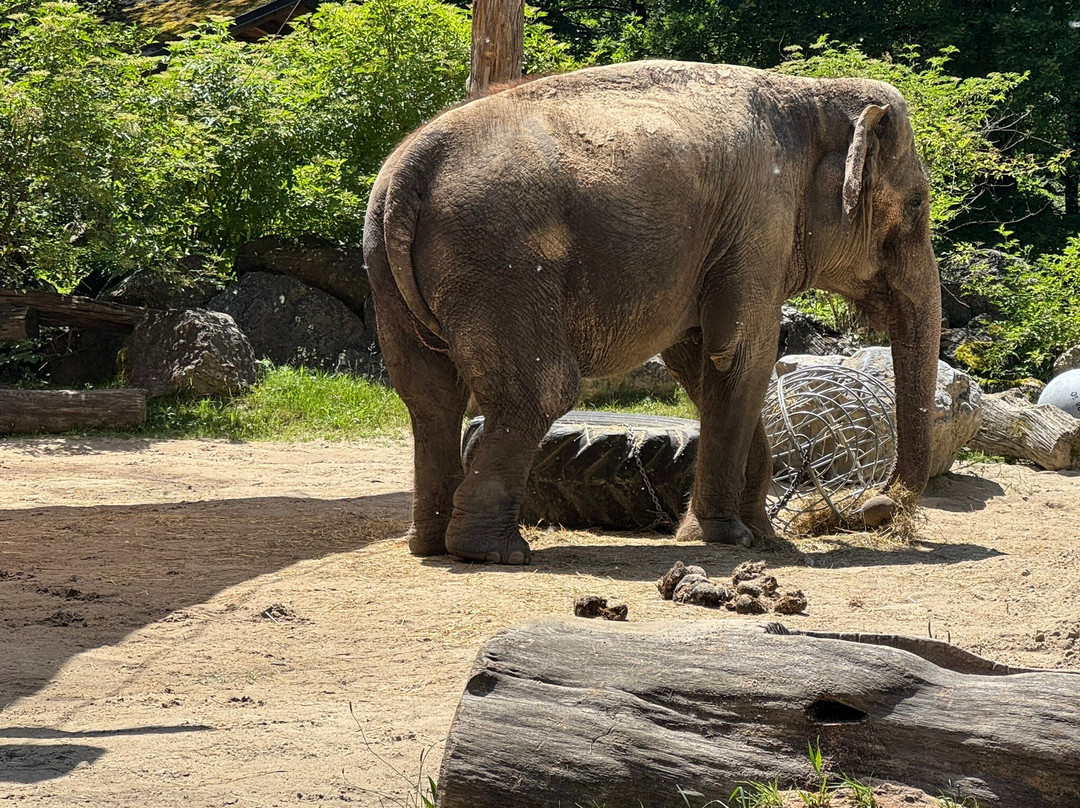 Zoo Ljubljana-卢布尔雅那必去景点