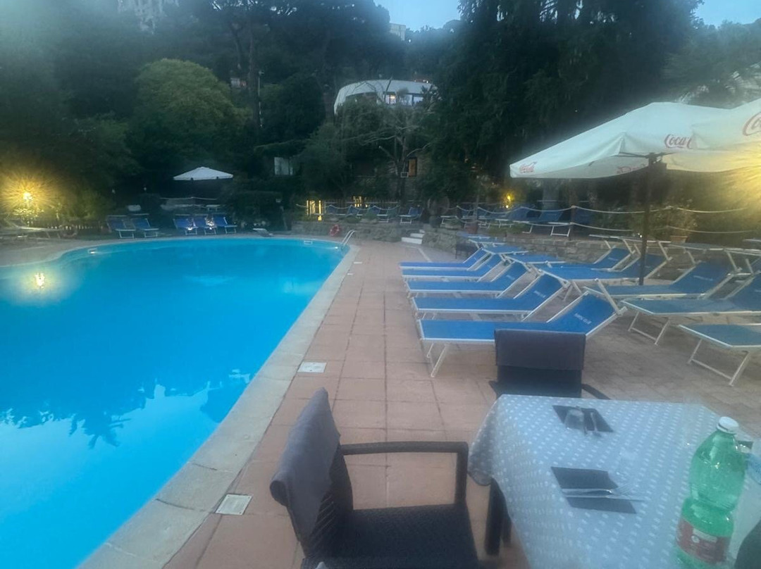 Saroli Club