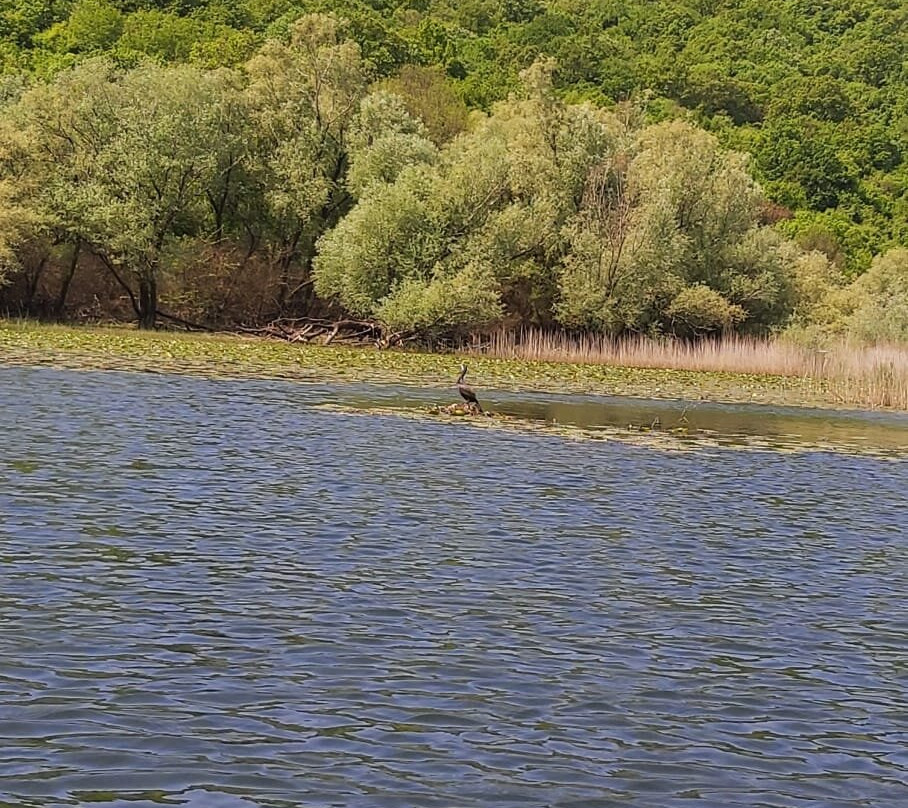 Lake Skadar-黑山共和国必去景点