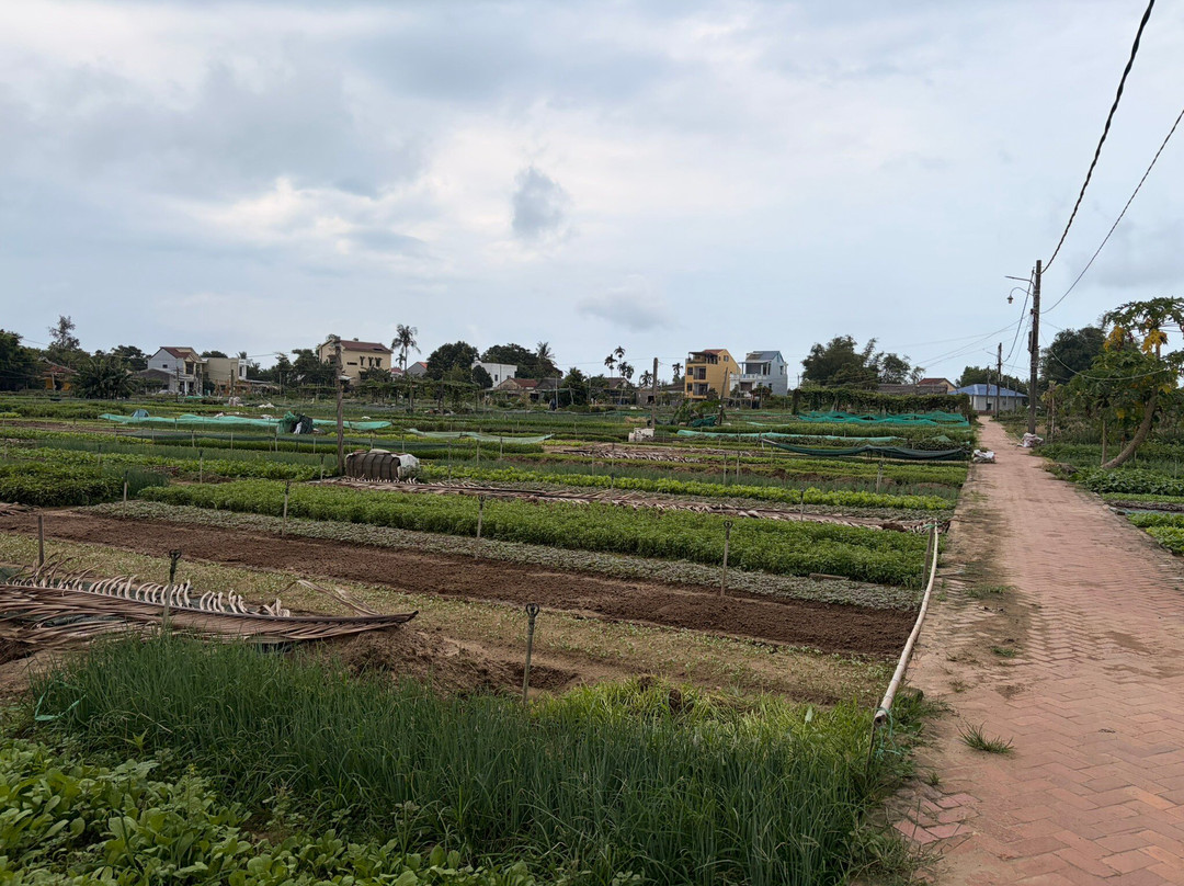 Tra Que Vegetable Village-会安必去景点