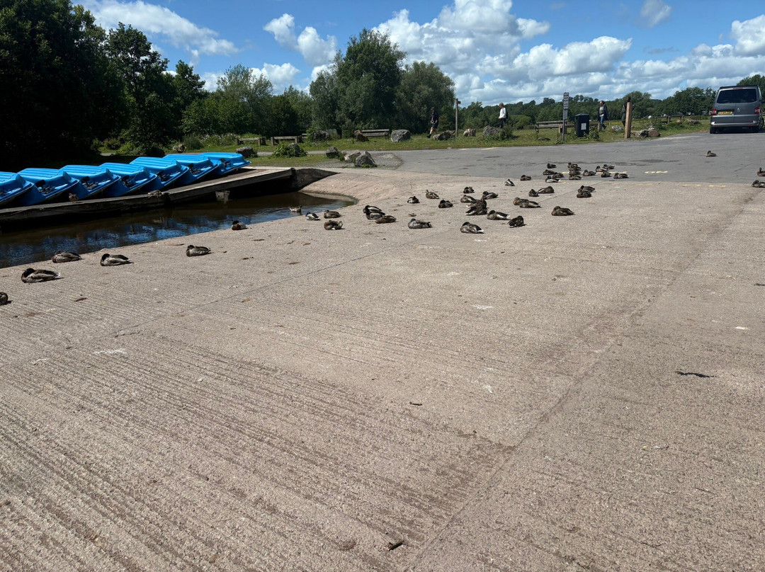 Llangorse Lake-Llangorse必去景点