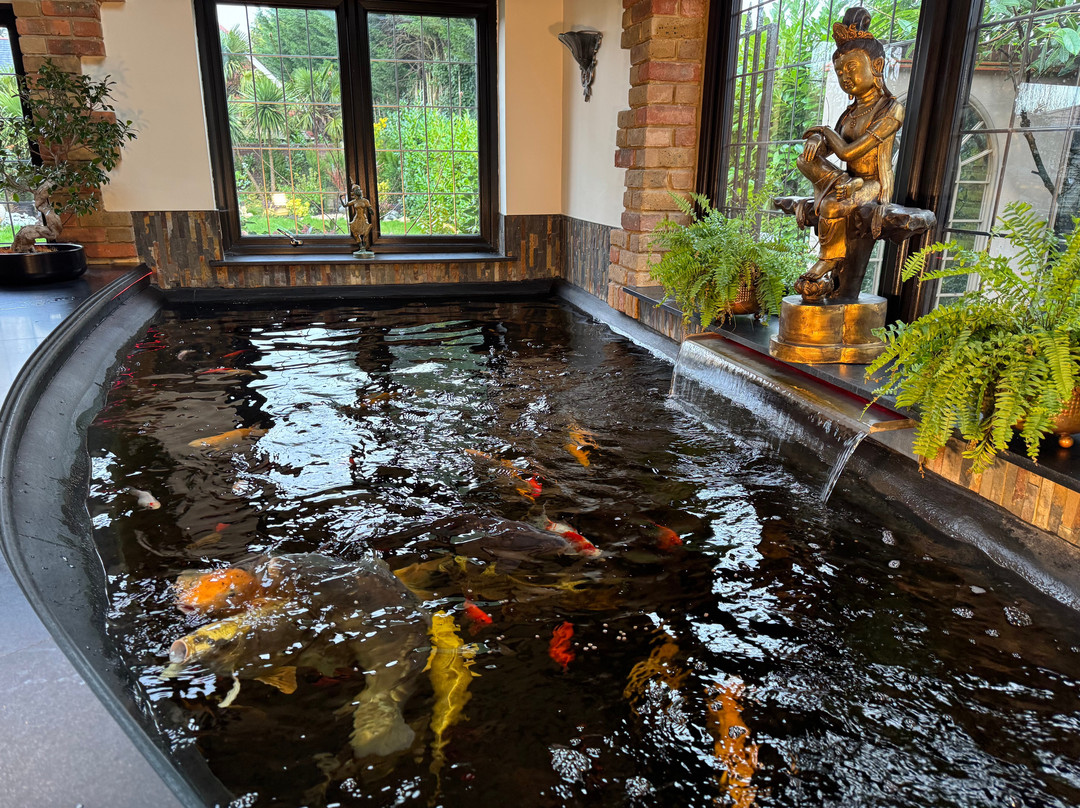Balancyoga Guest House