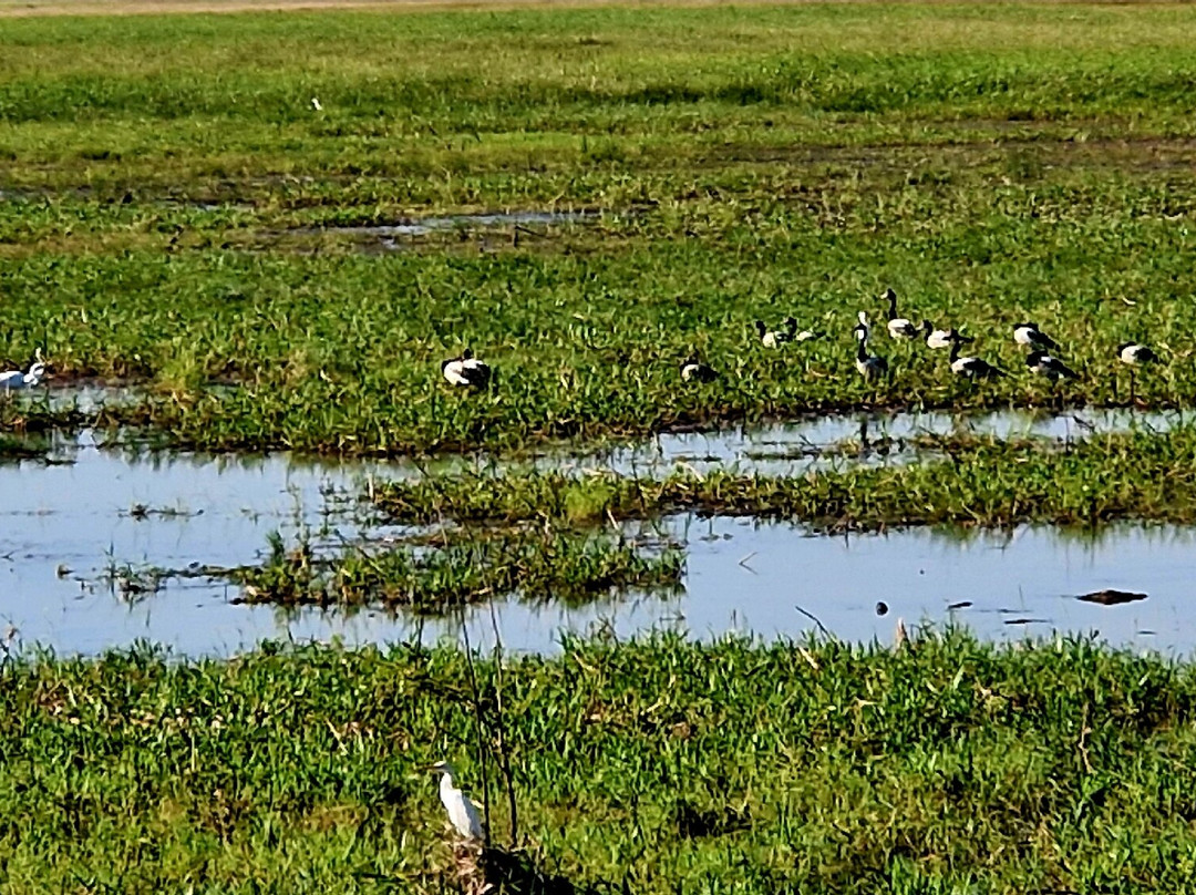 Fogg Dam Conservation Reserve-汉普蒂杜必去景点