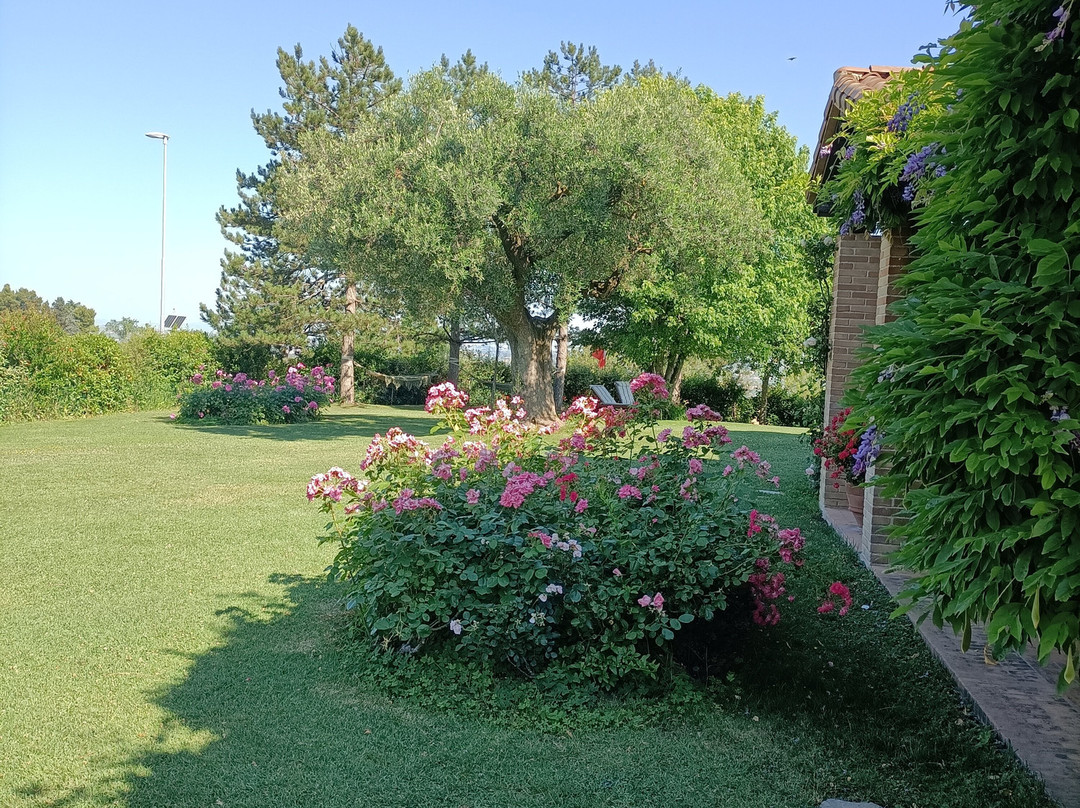 Il Giardino Delle Rose主图