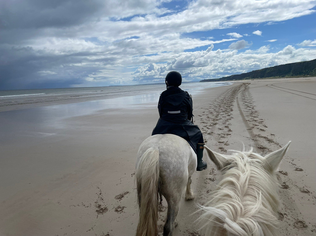 Bespoke Equestrian Ireland-都柏林必去景点