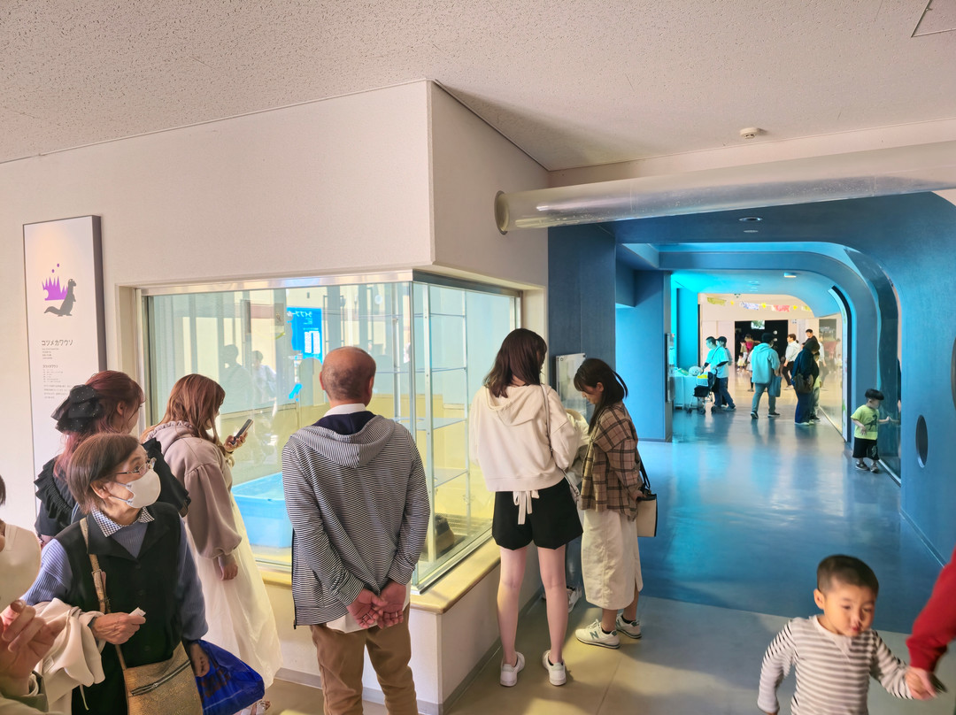 Miyajima Public Aquarium-廿日市市必去景点