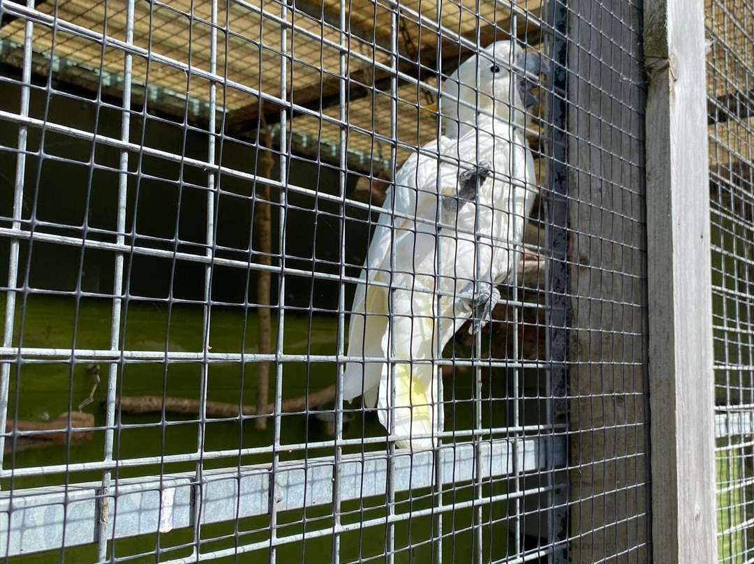 The Lake District Wildlife Park-Bassenthwaite必去景点