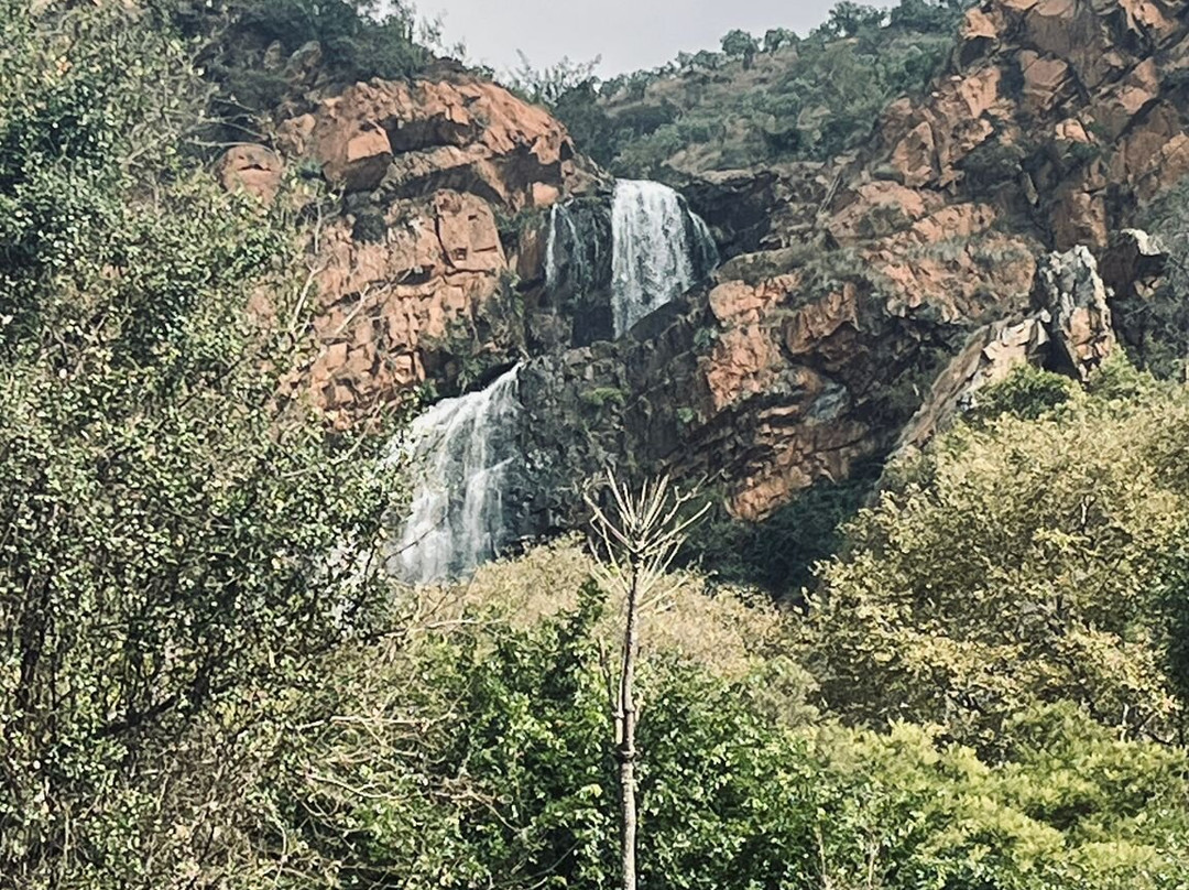 Walter Sisulu National Botanical Gardens-鲁德普特必去景点