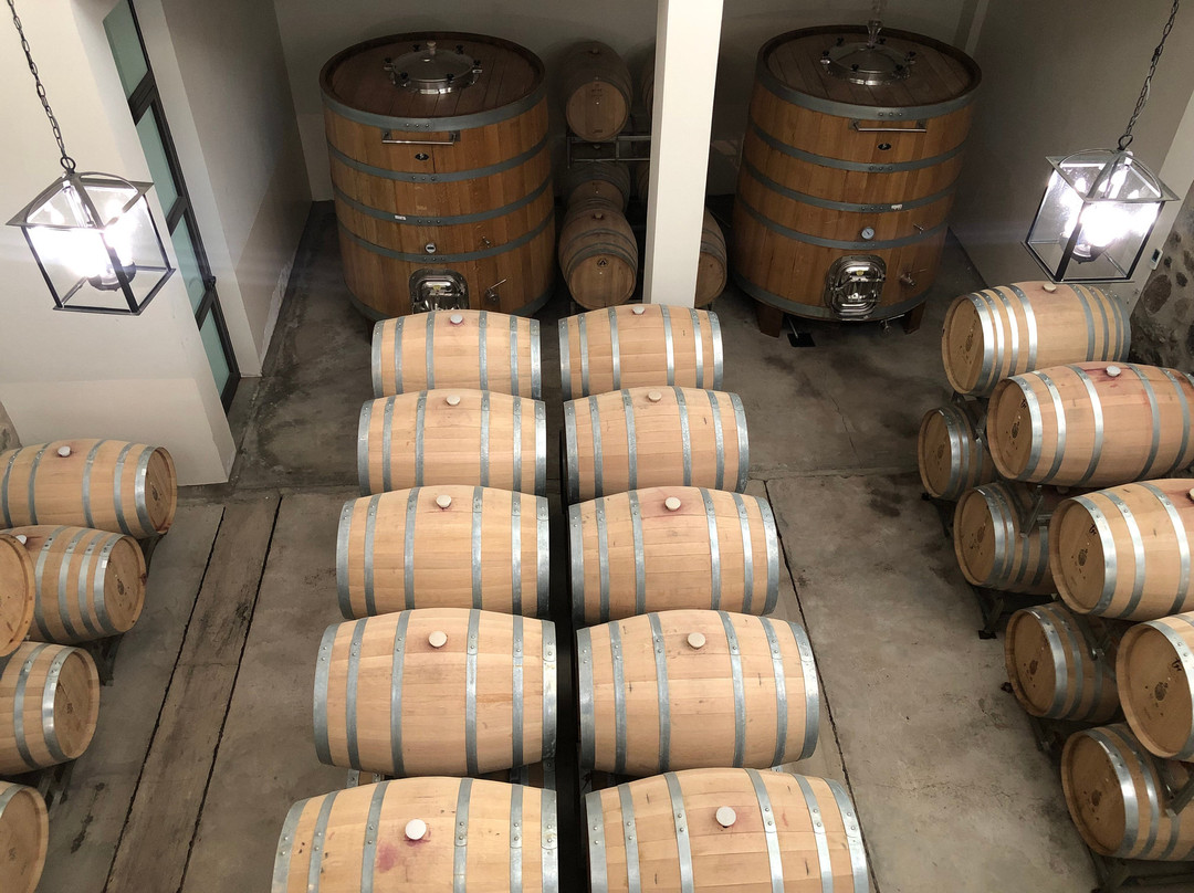 Bodega Puna-卡奇必去景点
