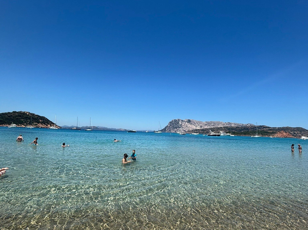 Spiaggia Capo Coda Cavallo-San Teodoro必去景点