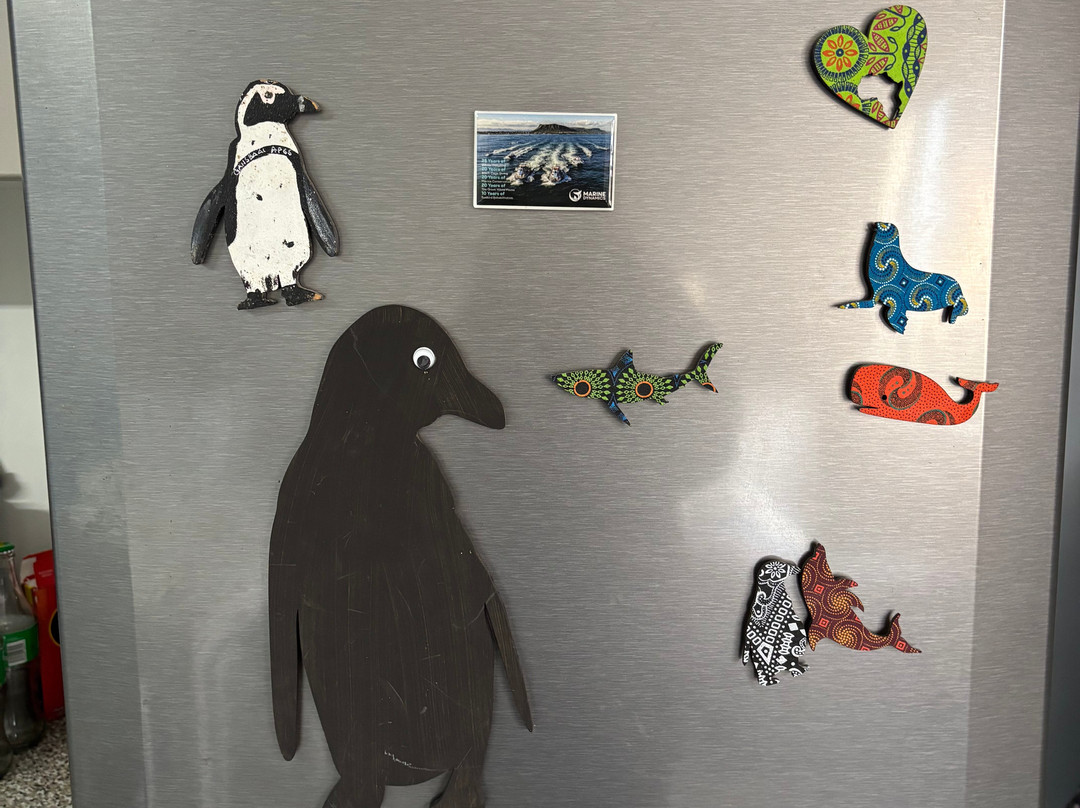 African Penguin & Seabird Sanctuary-干斯拜必去景点