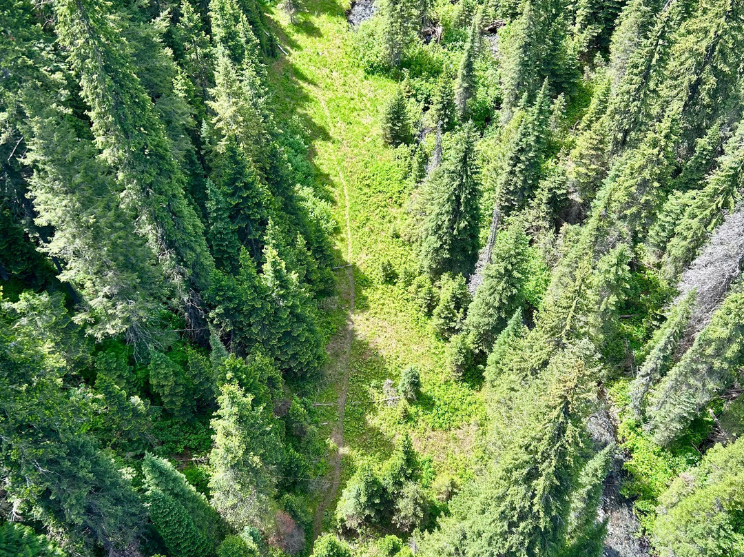 Discovery Bicycle Tours-伍德斯托克必去景点