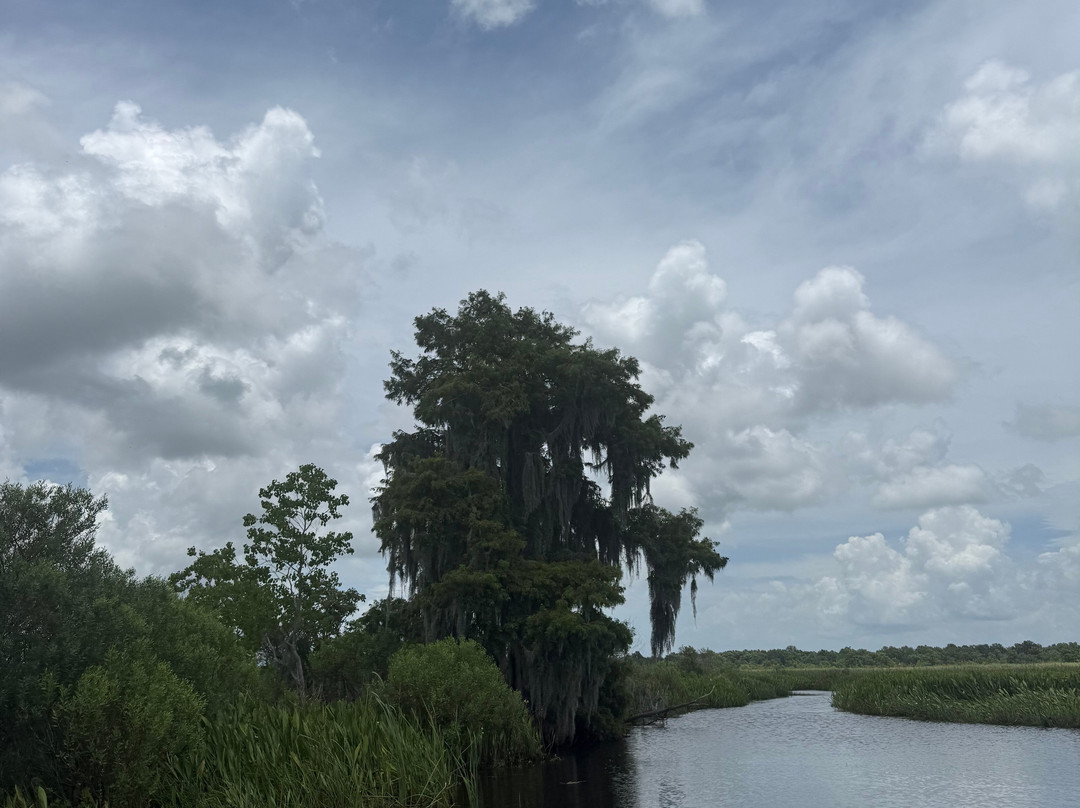 New Orleans Airboat Tours-Marrero必去景点