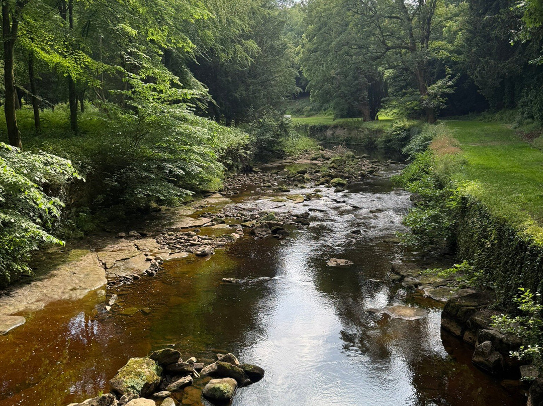 Rokeby Park-Barnard Castle必去景点