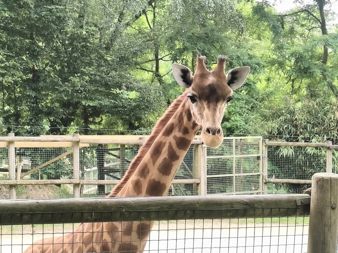 Zoo De Champrepus-Champrepus必去景点