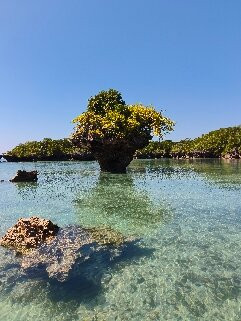 GoSmart Zanzibar Tours & Safari-Kiembi Samaki必去景点