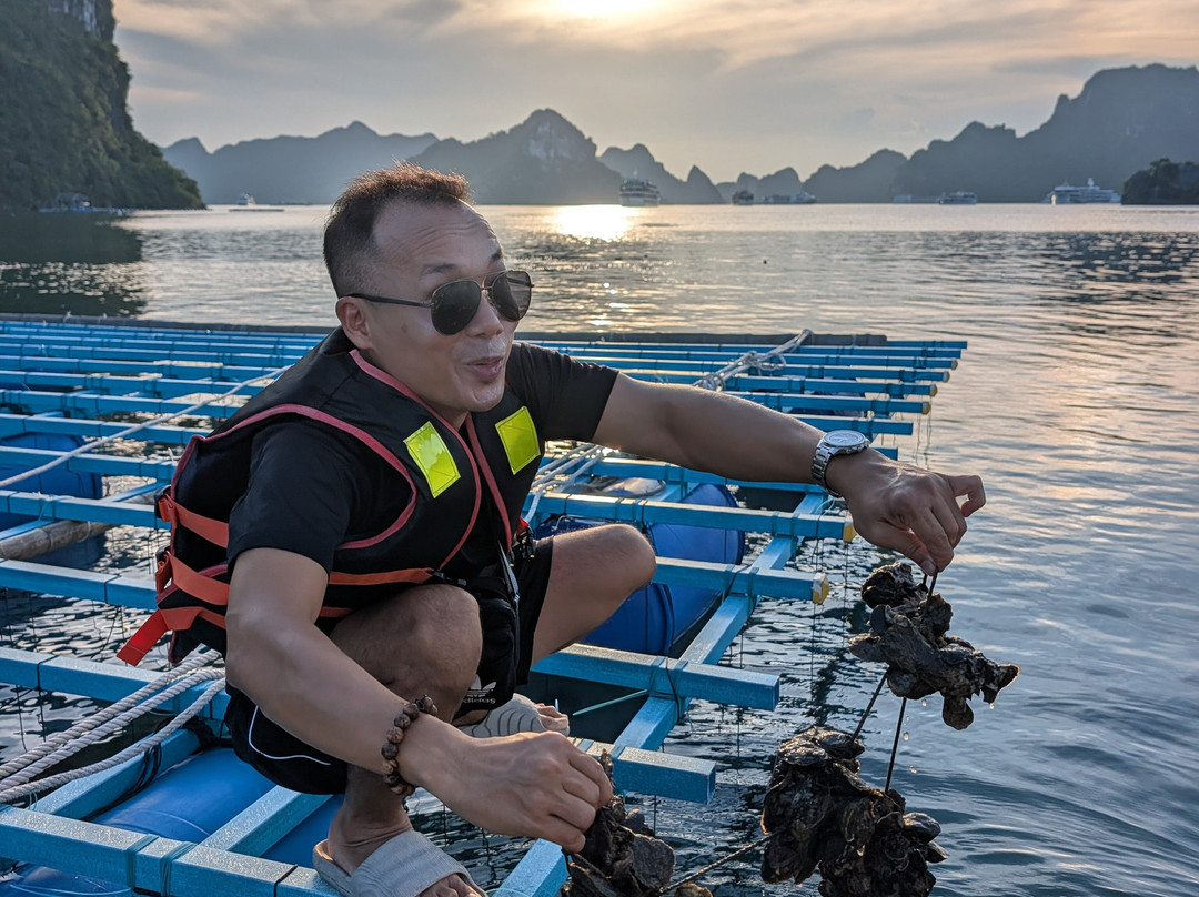 HaLong KAB Travel-下龙湾必去景点