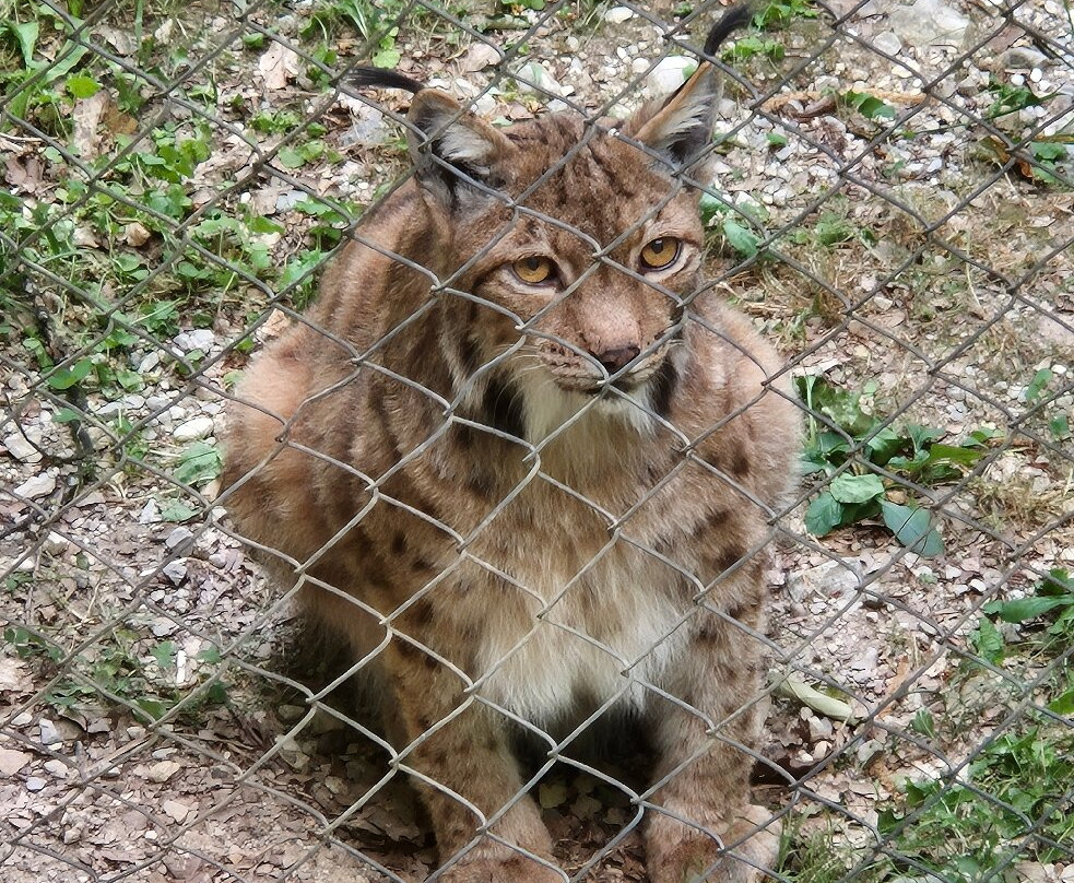 Zoo Ljubljana-卢布尔雅那必去景点