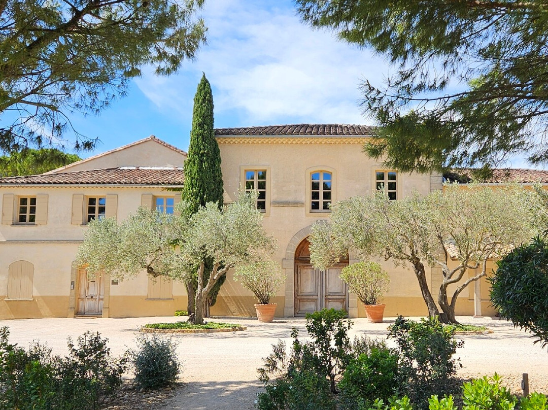 Chateau de Beaucastel-Courthezon必去景点