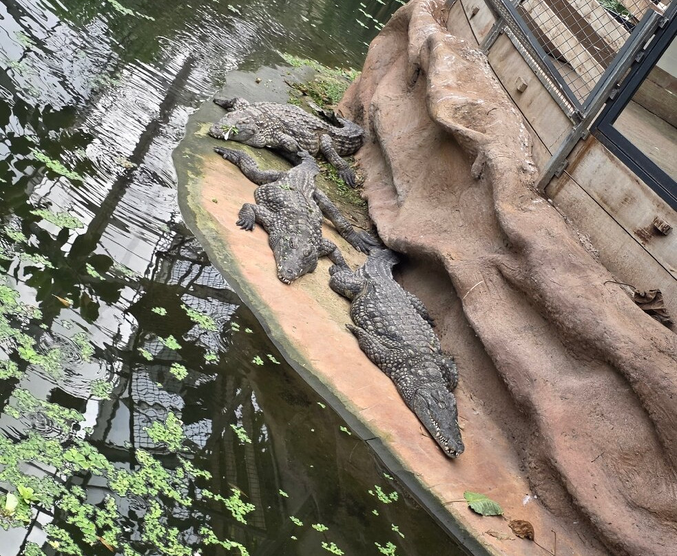La Ferme Aux Crocodiles-Pierrelatte必去景点