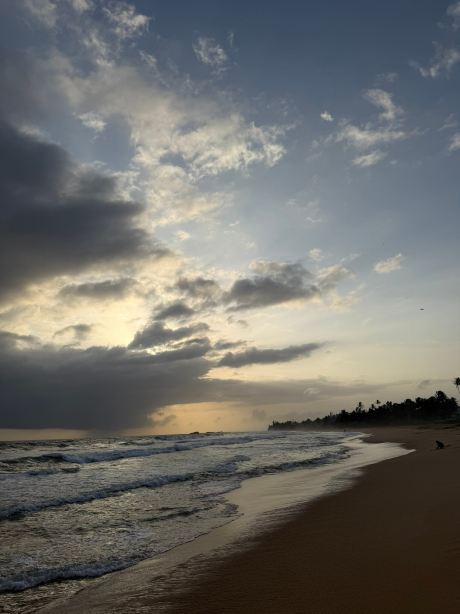 希克杜沃里夫酒店-旅行者