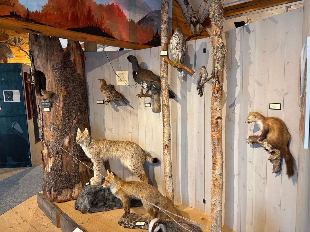 Utmarksmuseet-Sysslebäck必去景点