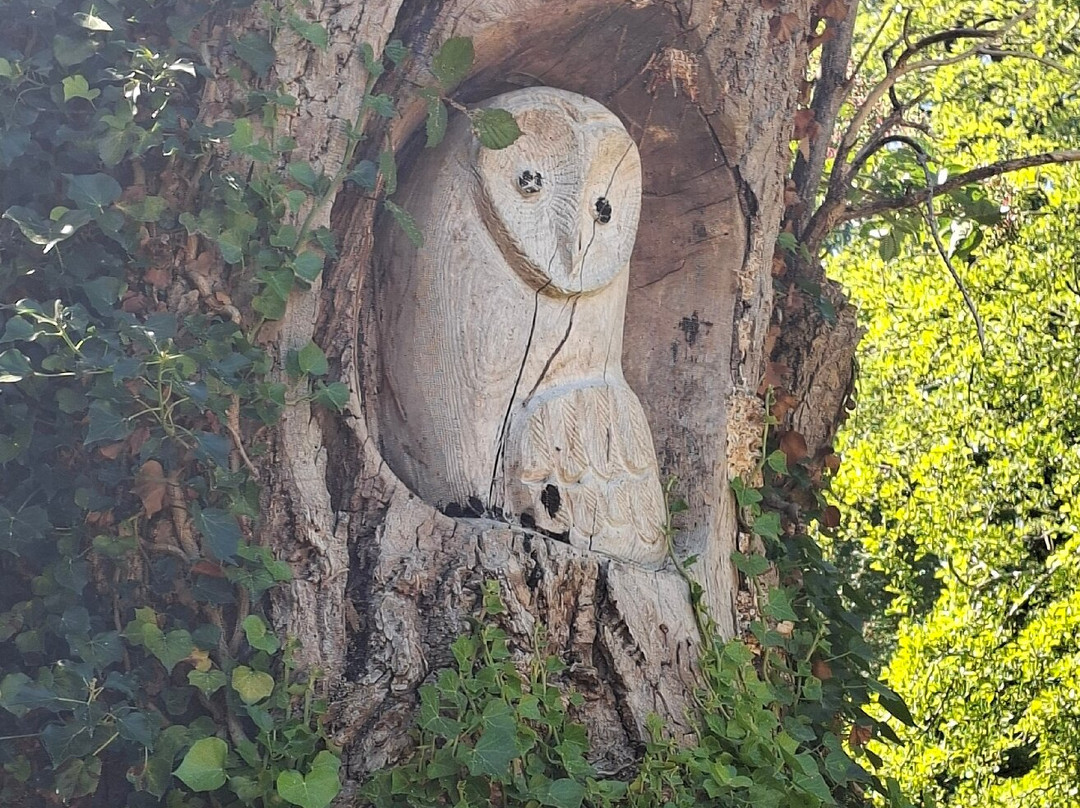 RSPB Leighton Moss Nature Reserve-Silverdale必去景点