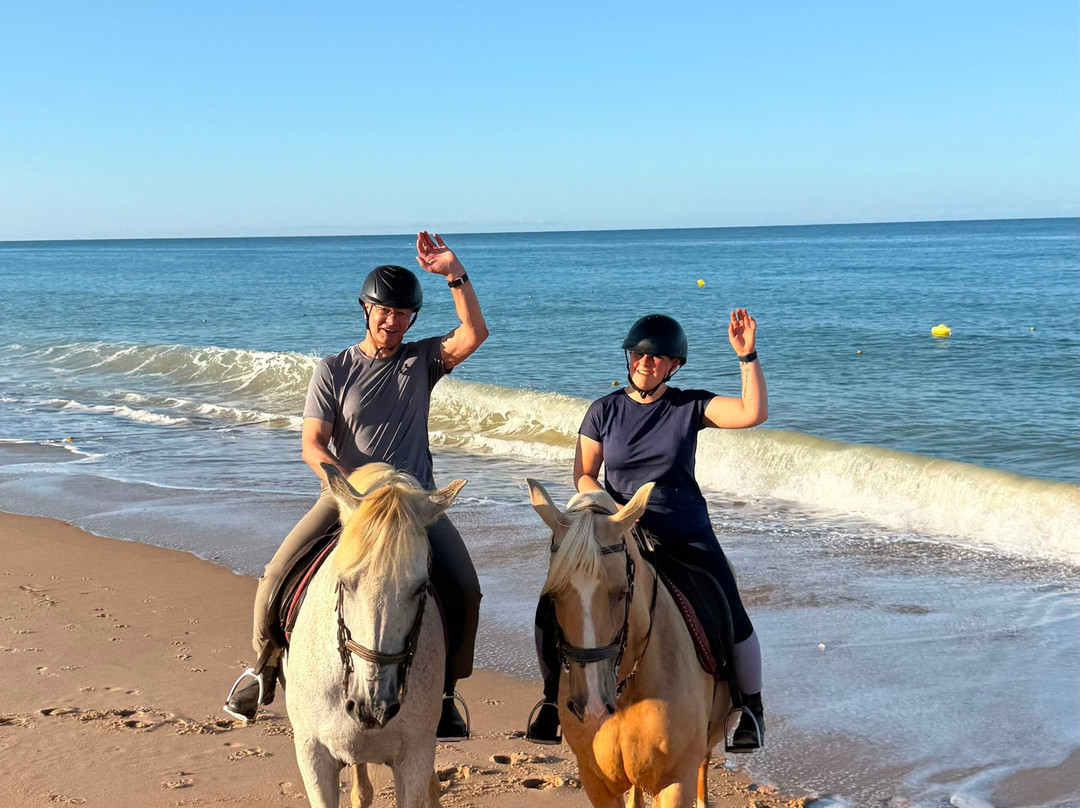 Clube Equestre A Palmeirinha-Almancil必去景点
