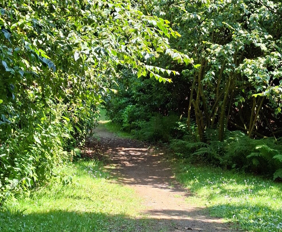 Galloway House Gardens-Newton Stewart必去景点