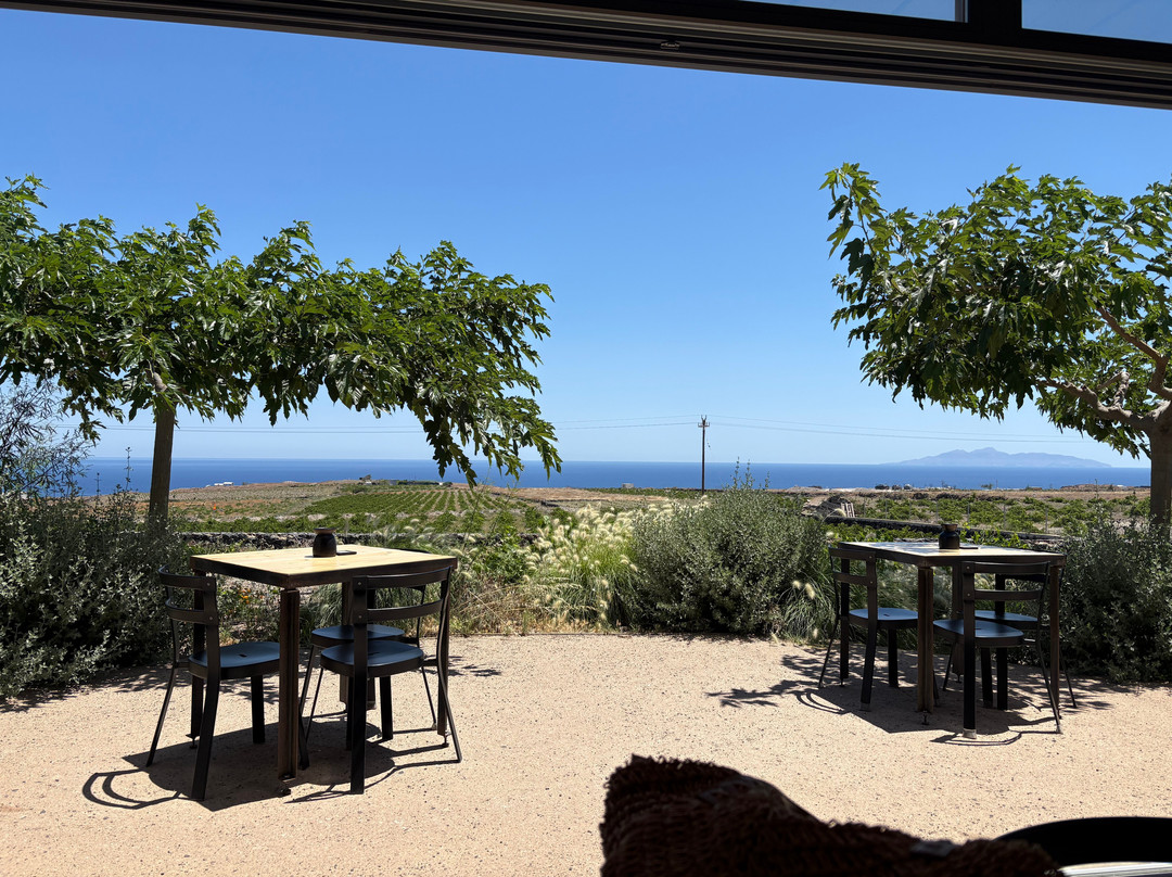 Vassaltis Vineyards-Vourvoulos必去景点