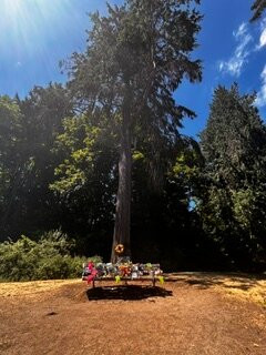 Stalking Seattle, A Music History Sightseeing Tour-西雅图必去景点