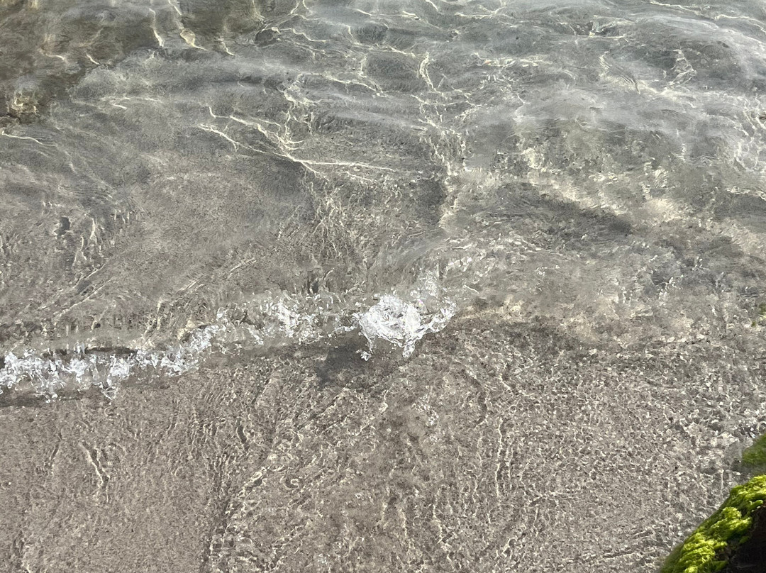 Spiaggia Delle Bombarde-阿尔盖罗必去景点