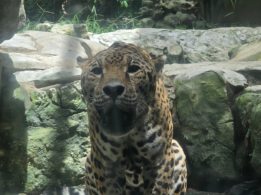 Aluxes Ecoparque-帕伦克必去景点